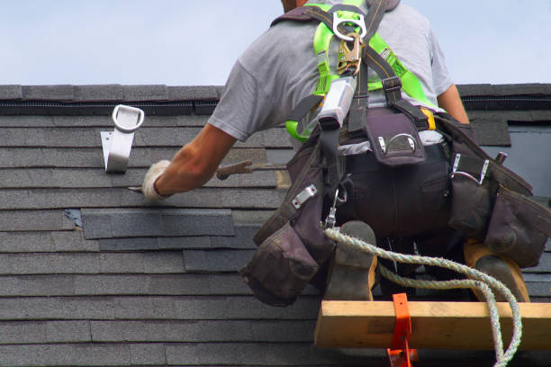 Best Commercial Roofing Services  in Lake Catherine, IL