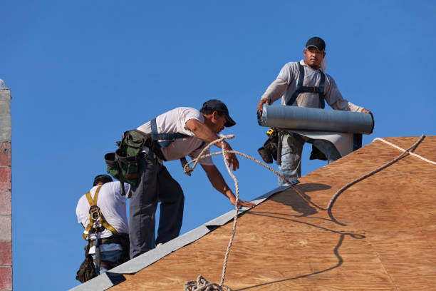 Professional Roofing Contractor in Lake Catherine, IL