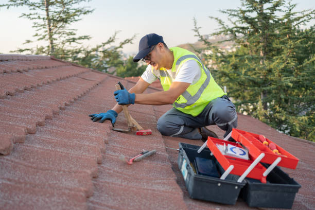 Best Roof Maintenance Services  in Lake Catherine, IL