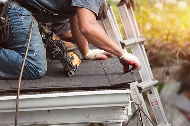 Best Roof Repair Services  in Lake Catherine, IL