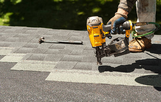 Best Roof Maintenance Services  in Lake Catherine, IL