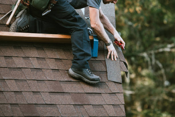 Professional Roofing Contractor in Lake Catherine, IL