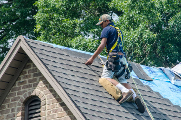 Roof Repair Estimates in Lake Catherine, IL