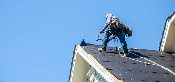 Sealant for Roof in Lake Catherine, IL