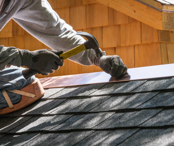 Best Metal Roofing Contractor  in Lake Catherine, IL